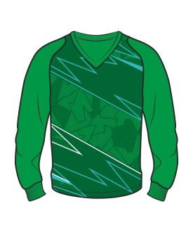 Футболка с длинным рукавом 208 рукав фигурный реглан расцветка1 зеленая